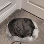Dog bed Image 2