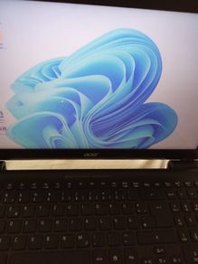 Acer