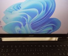 Acer