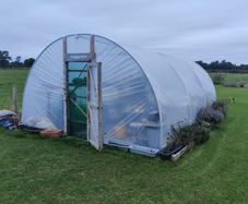 Large Polytunnel / Greenhouse