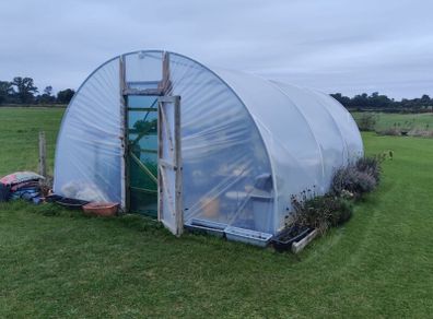 Large Polytunnel / Greenhouse