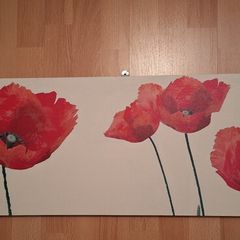Poppy canvas wall art