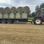 Top quality Hay Image 3