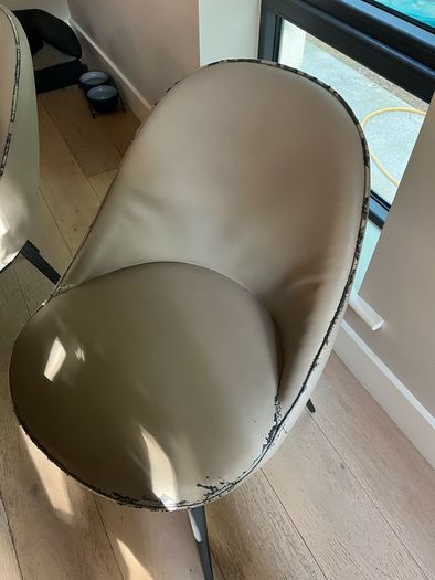 dining chairs - set of 6 (2 carvers and 4 dining chairs)