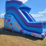 Bouncy Castle Image 4