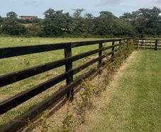 Fencing for 3/4 rail