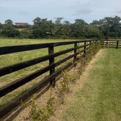 Fencing for 3/4 rail