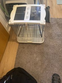 bird cages
