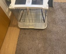 bird cages