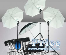 255W Stand Umbrella kit