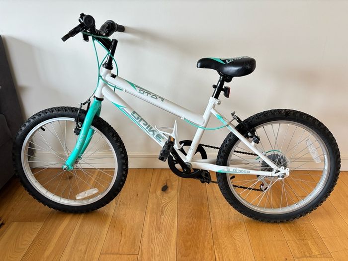 20" bike
