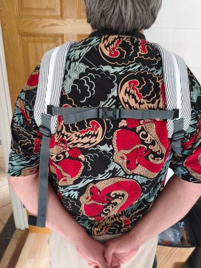Weego Twin, The Original Baby Carrier for Twins
