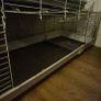 Bunny - Rabbit - Cage Image 3