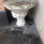 bird bath conch shell Image 2