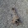 2016-2020 Mitsubishi outlander Parts Image 3