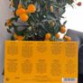 Acqua di Parma discovery set Image 2