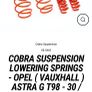 cobra lowering springs Image 4