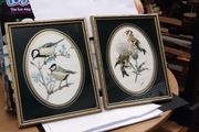 Bird prints