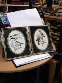 Bird prints