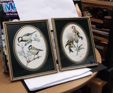 Bird prints