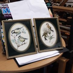 Bird prints