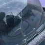 Free Hamster Home Image 4