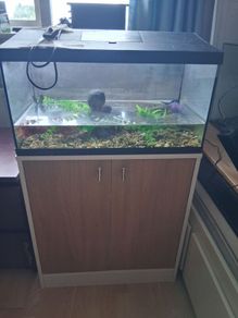60 Litre Fish Tank with Matching Cabinet