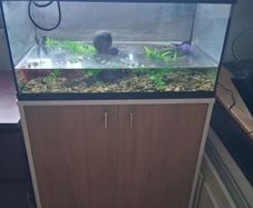 60 Litre Fish Tank with Matching Cabinet