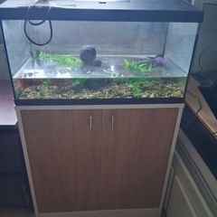 60 Litre Fish Tank with Matching Cabinet