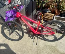 kids bike collection only