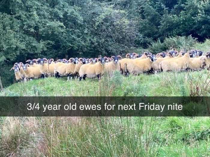 TONIGHT !!Friday 11th September 7:30pm