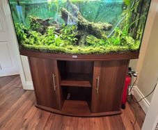 Tropical Fish Tank