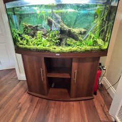 Tropical Fish Tank