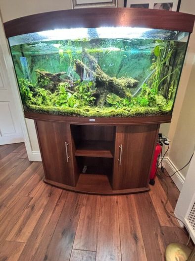 Tropical Fish Tank