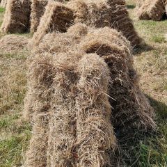 Square bales of hay for sale