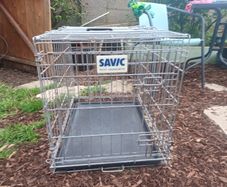 dog crate