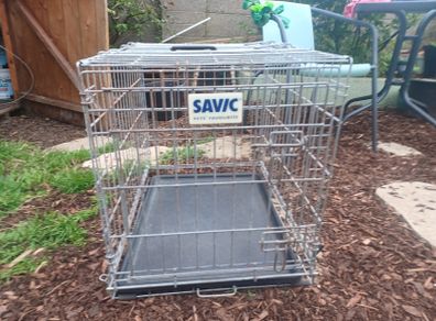 dog crate