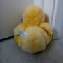 Easter soft duck Image 2