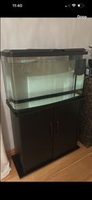 2 Fish Tank