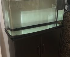 2 Fish Tank