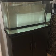 2 Fish Tank