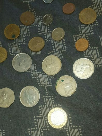 irish coins