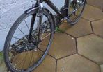 Trek Bike