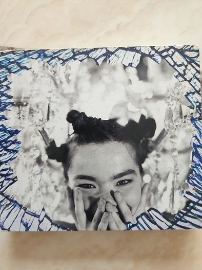 Bjork 2CD Lot