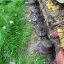 Mower Image 8