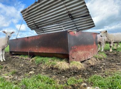 Lamb creep feeder