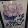 Various botanical Pictures Image 2