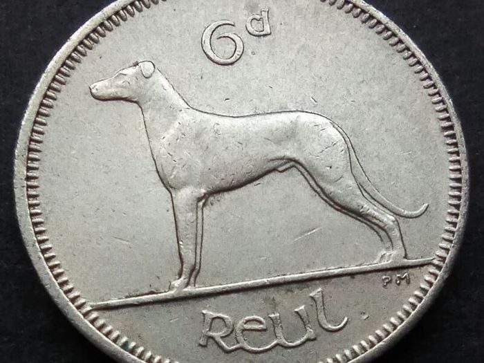 [#485] - Ireland 1959 | Irish 6p | 6 Pence | Wolfhound | KM.13a