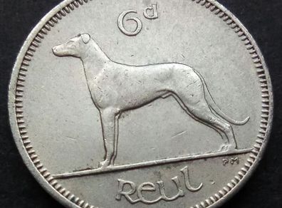 [#485] - Ireland 1959 | Irish 6p | 6 Pence | Wolfhound | KM.13a