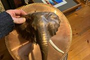 elephant head